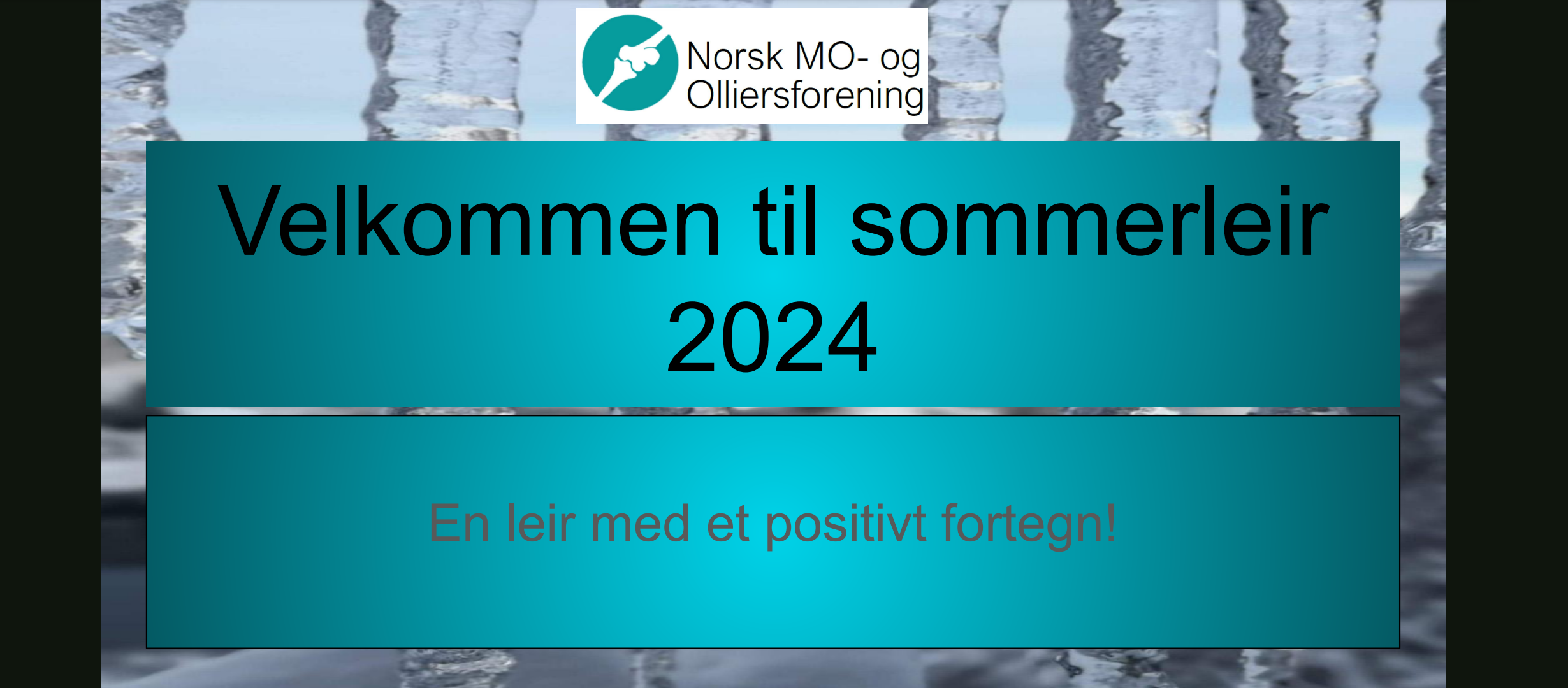 Sommerhilsen fra styret og likepersonene.