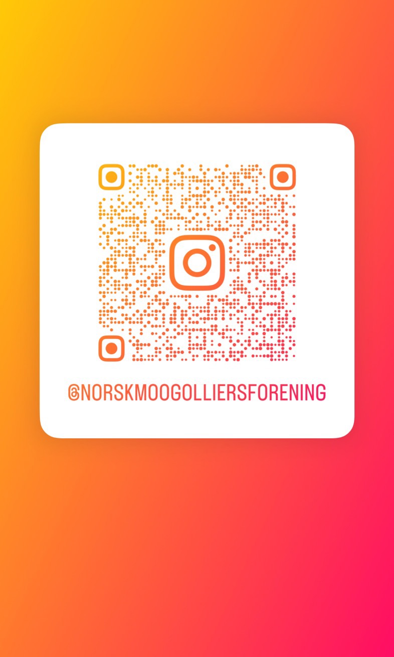 Norsk MO- og Olliersforening er nå på Instagram