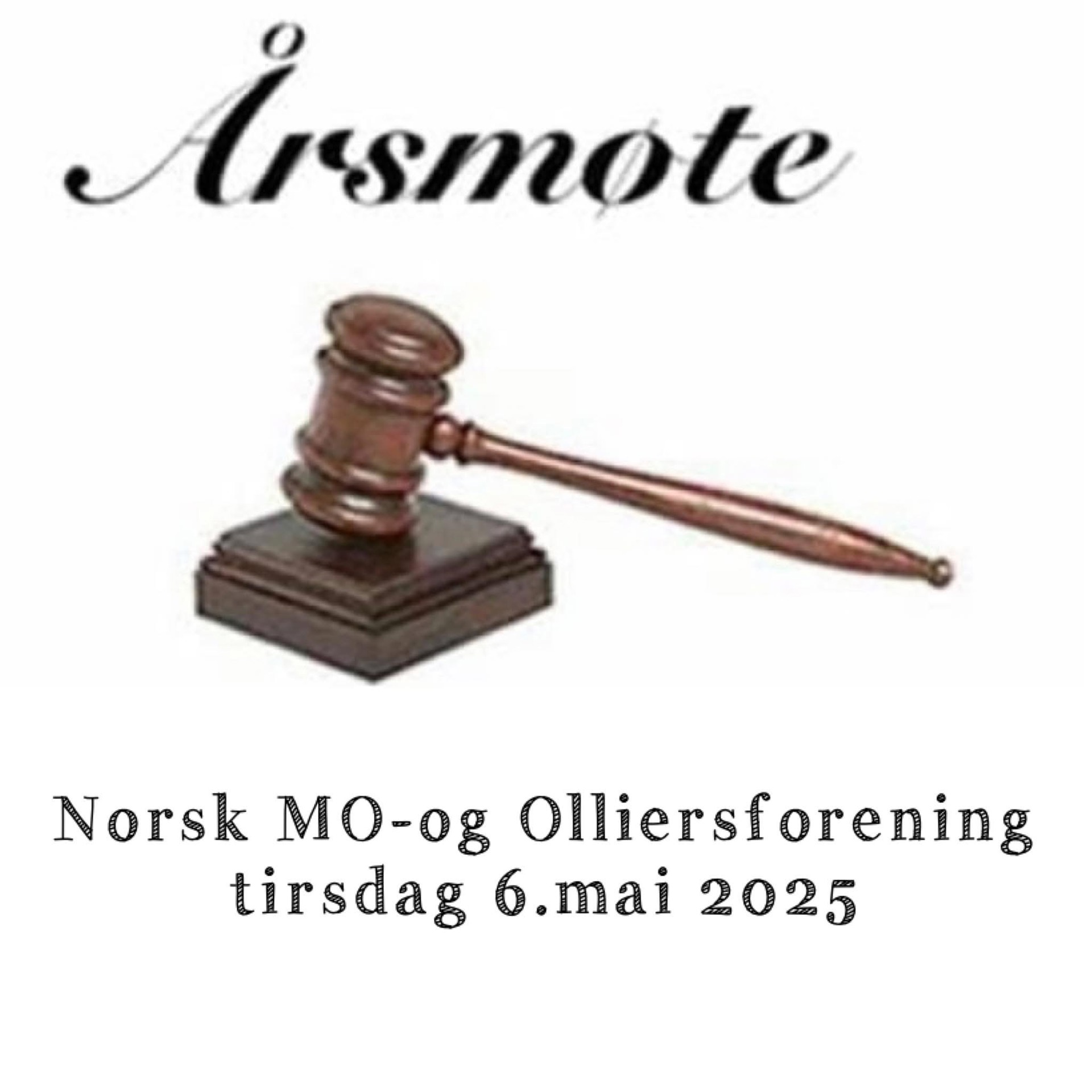 Årsmøte 2025