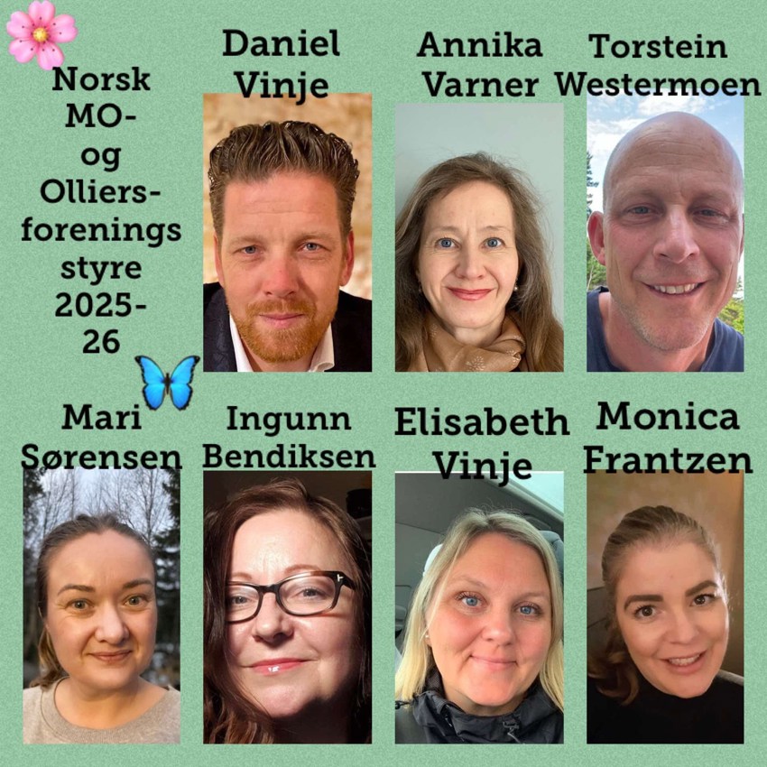 Styret 2025/2026