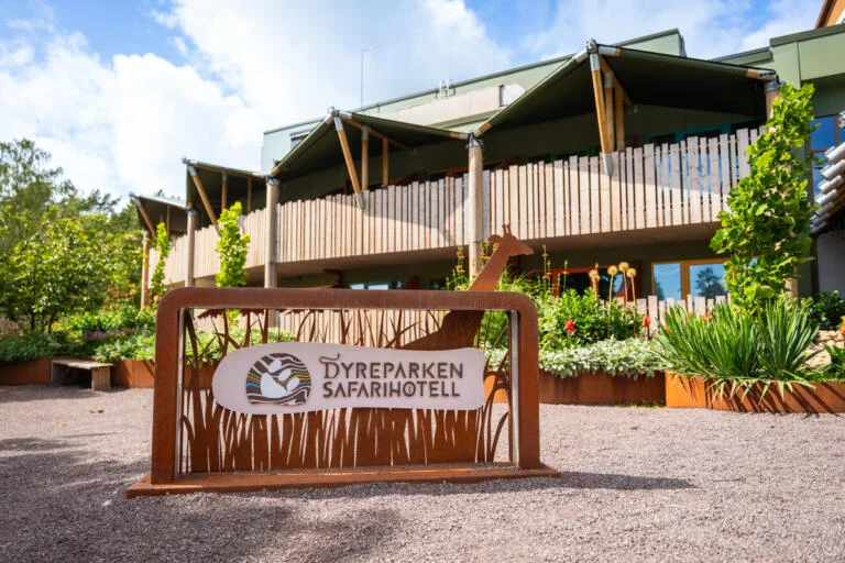 Artikkelbilde til artikkelen Sommerleir 2026 - Påmelding