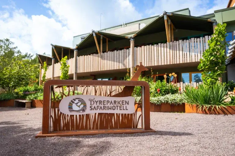 Sommerleir 2026 - Påmelding